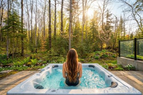 Chalet Bella Vista with Private SPA and Pool