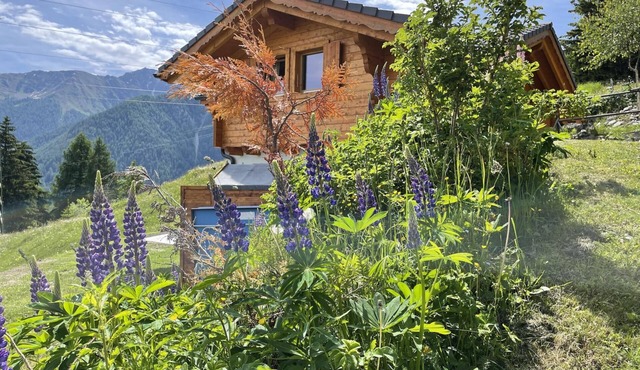 Chalet Belle Roche Recently Renovated Jacuzzi