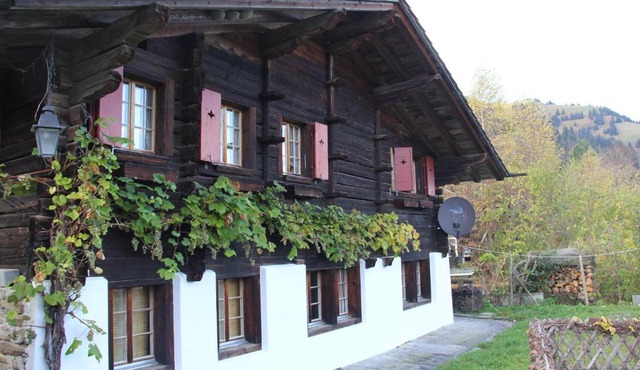 Chalet Bergwelt - Panoramic view
