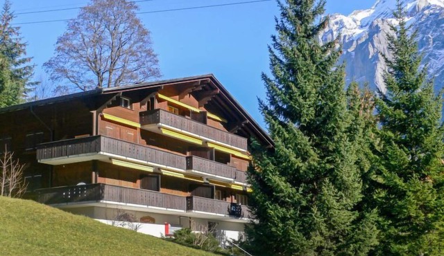 Chalet Bodmisunne by Interhome