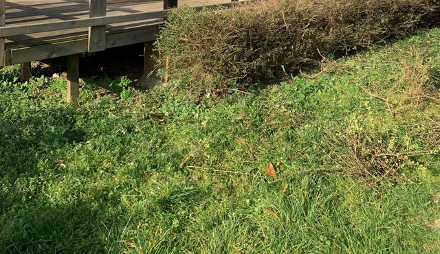 Chalet 'Boheme' with Private Terrace and Private Garden