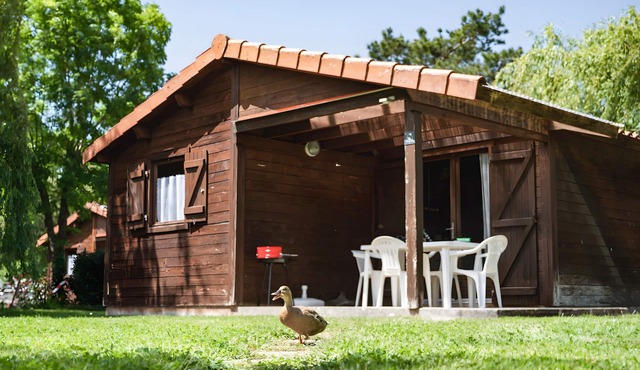 Chalet “Bois 3” with Shared Pool and Private Terrace