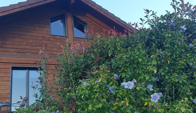 Chalet Bois Cosy - Climatisé - Piscine privée