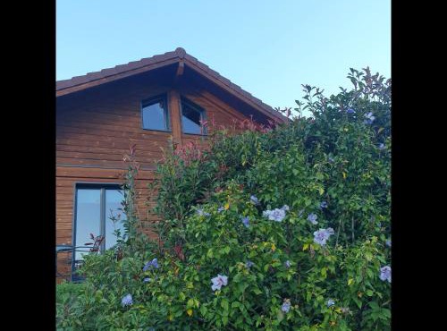 Chalet Bois Cosy - Climatisé - Piscine privée