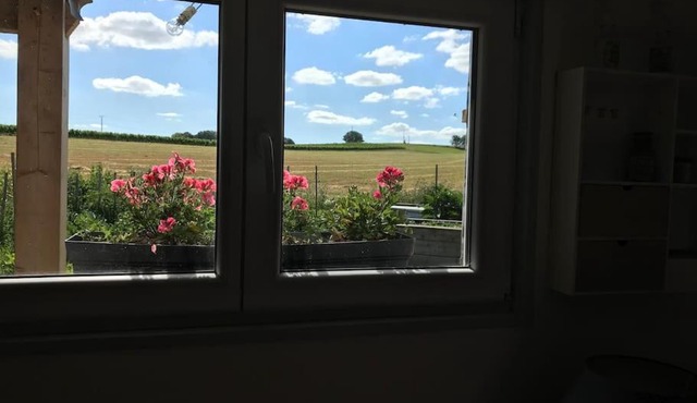 Chalet bois proche de la Dordogne, Eymet a 5 km