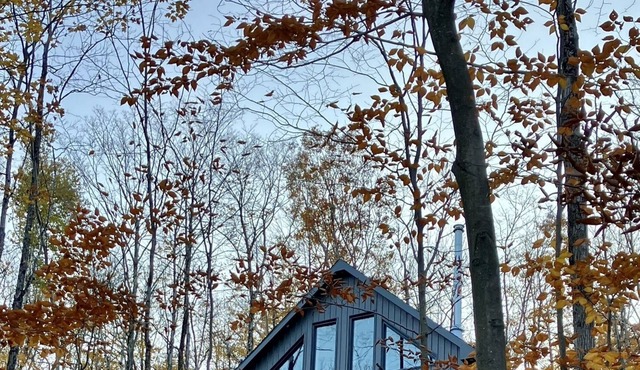 Chalet Bolton - in the forest, family holidays or telecommuting!