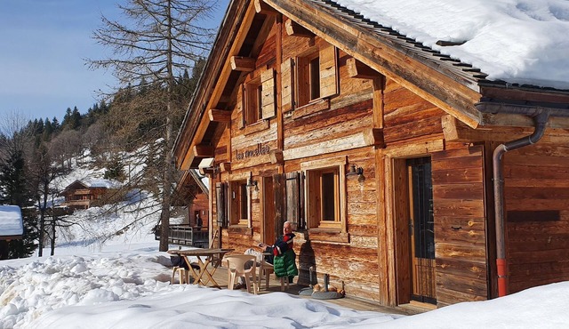 Chalet, breathtaking view - free shuttle .10 people