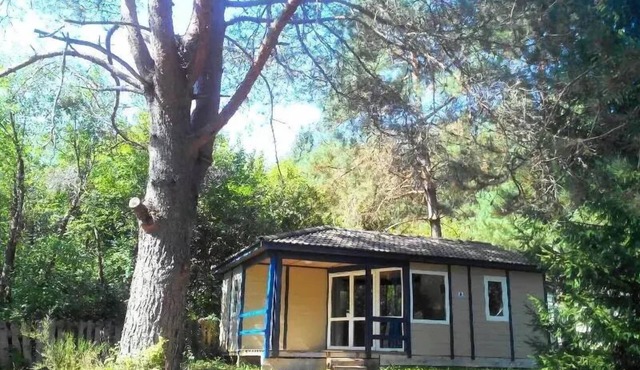 Chalet Bungalow Spacious 5 people