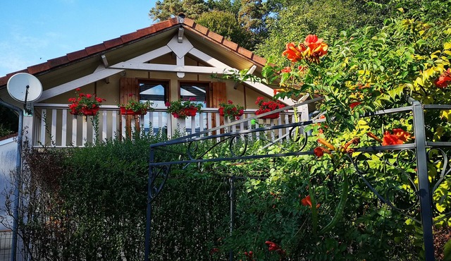 Chalet * by the lake with a boat, swimming pool, pets allowed, beds made,quiet