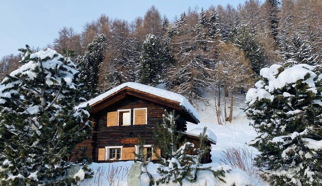 Chalet ça me Suffit, my little piece of paradise -Outside : small 2-storey-chalet for 2 persons on a
