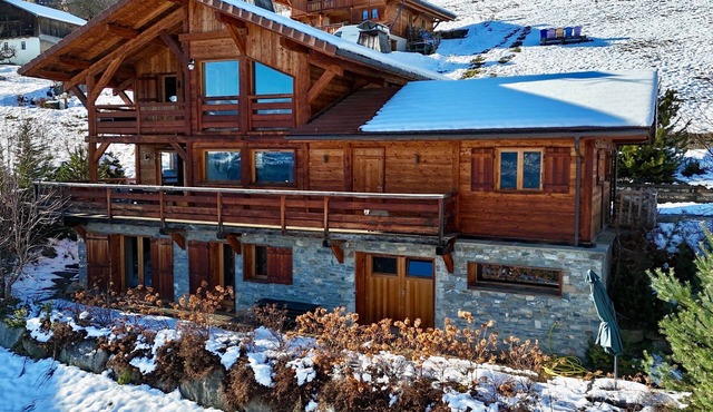 Chalet 'Chalet Face Au Mont-blanc' with Mountain View, Wi-Fi and Air Conditioning