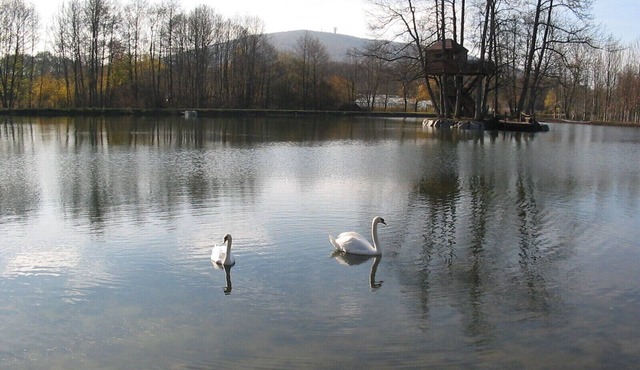 CHALET CIGOGNE
