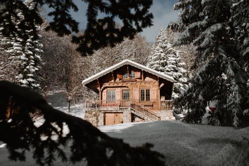 Chalet Clair Bois - La Féclaz avec bain nordique privé