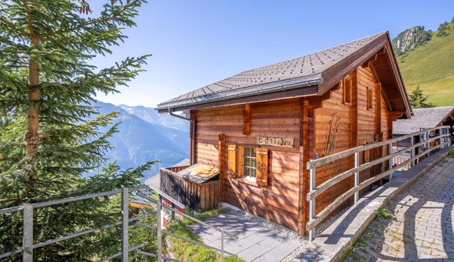 Chalet Collini