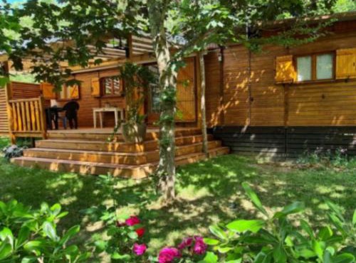 Chalet Convivial avec Terrasse - 52m², 6 pers. - API-1-52-1749