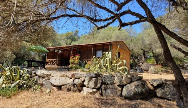Chalet Cosy - U Nestru