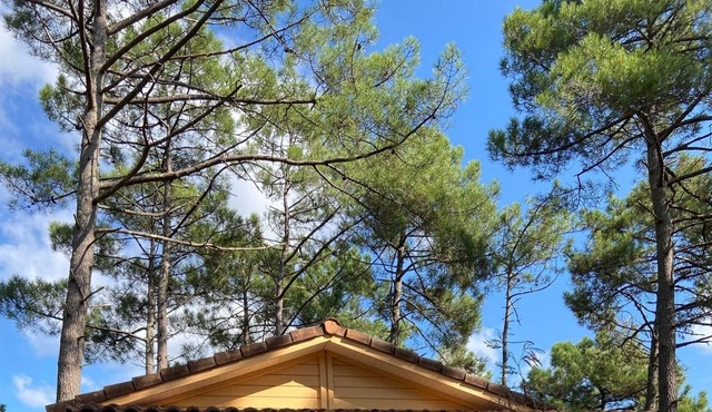 Chalet Coucher de soleil La Jenny with Shared Pool & Wi-Fi