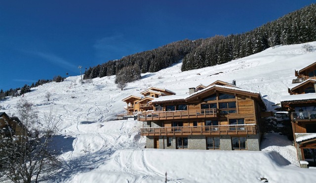 Chalet d'exception 14 Pers. Sauna, Jacuzzi, Sports, Lift, Free shuttle service