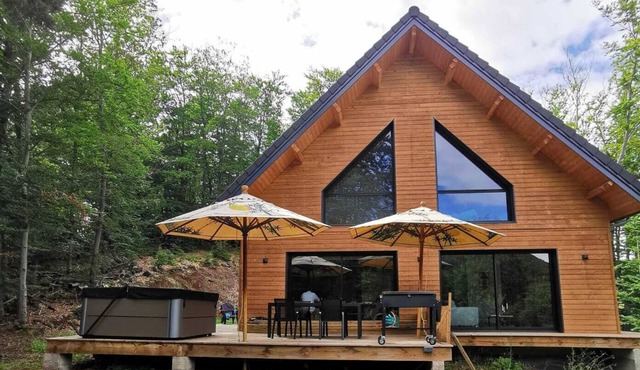 Chalet D'exception, au Cœur des Bois Avec vue sur le Château de Murol !