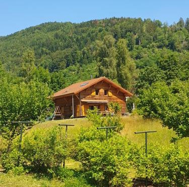 CHALET DES CHARBONNIERS AVEC ETANG - 5 chambres -