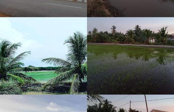 Chalet D'sawah private pool