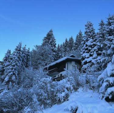 Chalet Dagmar