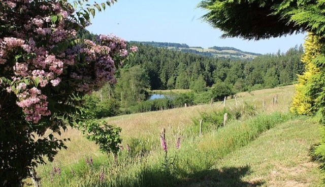 Chalet Dans un Cadre Unique des Vosges Meridionales Avec Terrasse et Jardin