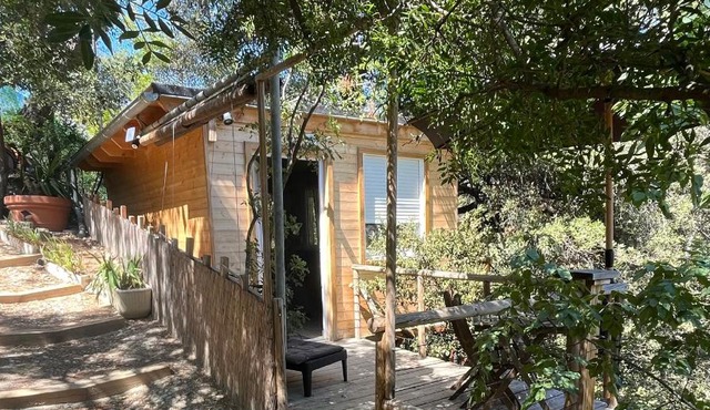 Chalet dans les arbres