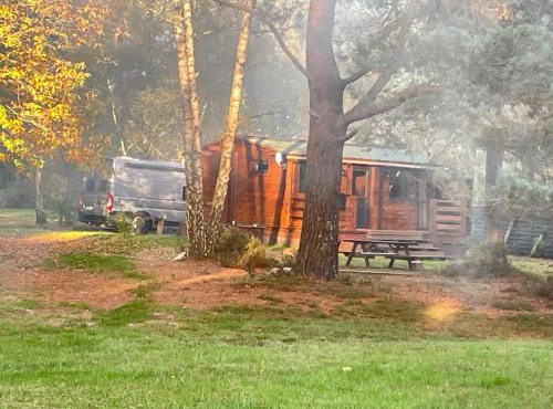 Chalet dans les bois