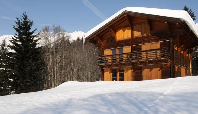 "Chalet de Bois" South magnificent view
