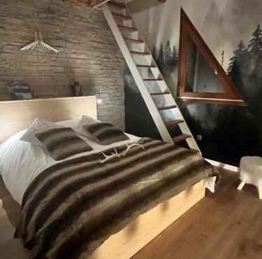 Chalet de charme pied des pistes