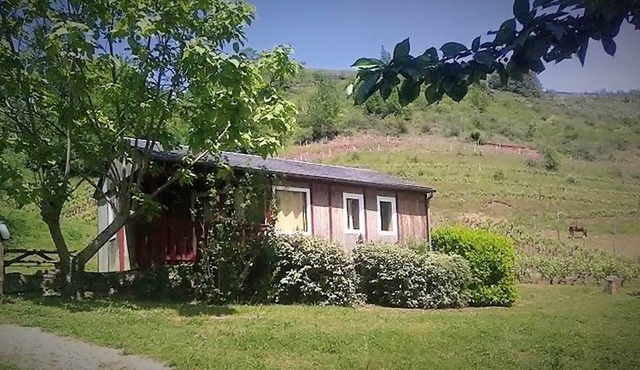 Chalet de la Frégière Vigne