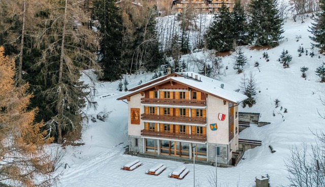 Chalet de l'Ours NATURE 4 Etages 52 pers