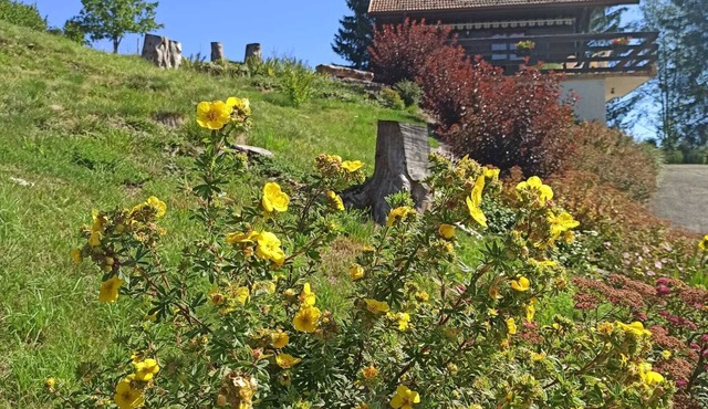 Chalet de la Morille - 3★ comfort, 30 m² terrace, mountain & nature view