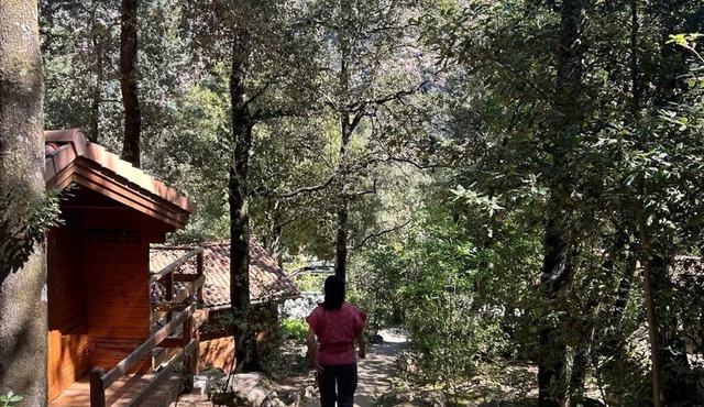 Chalet de Location au Cœur de la Forêt. Randonnées Entre Rivière et Montagne
