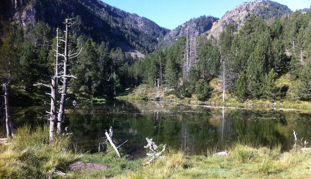 Chalet de Montagne a l Oree de la Foret a 6mn de Formigueres
