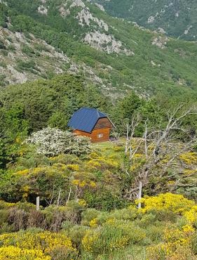 Chalet de montagne