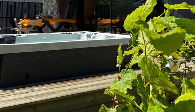 CHALET DELTA au CHAMBON SUR LAC