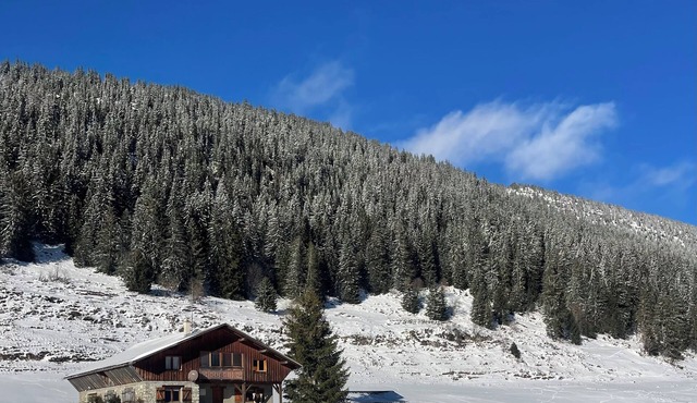 Chalet des Glieres for nature lovers!