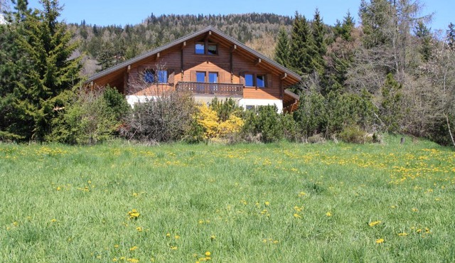 Chalet Domaine de la Famille te Arbaz