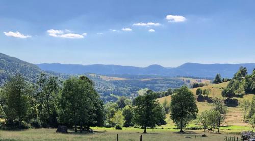 Chalet DU MERLE - CHAMP DU FEU - NEUF 5 ETOILES