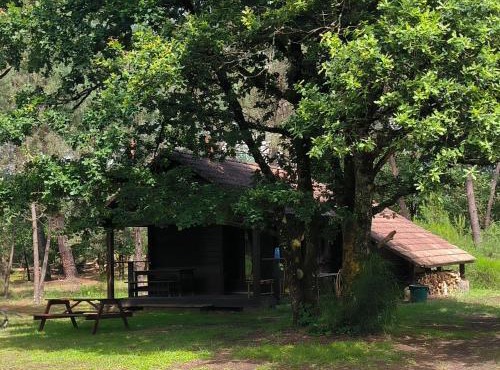 "Chalet" du refuges des étangs