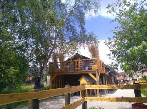 Chalet en bois à Hasnon, calme et confort avec terrasse et jardin - FR-1-510-121