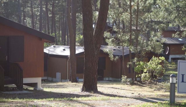 Chalet en Bois Dans la Foret de Pins Entre lac et Océan - Calme -
