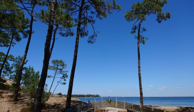 Chalet en bois indépendant au cœur de la pinède, au calme, entre lac et Océan.