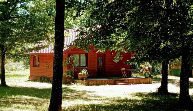 Chalet en forêt, brame du cerf