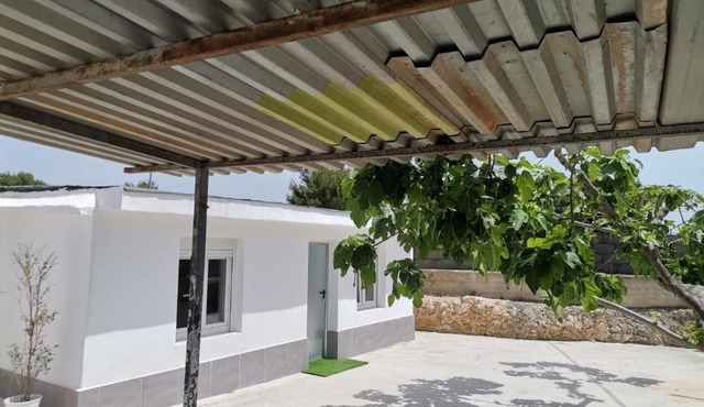 Chalet en Manises