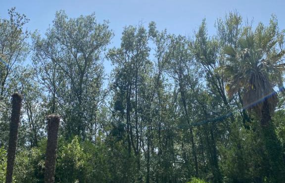 Chalet en pleine nature