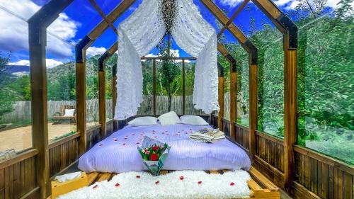 Chalet en verre sous une pluie étoilée