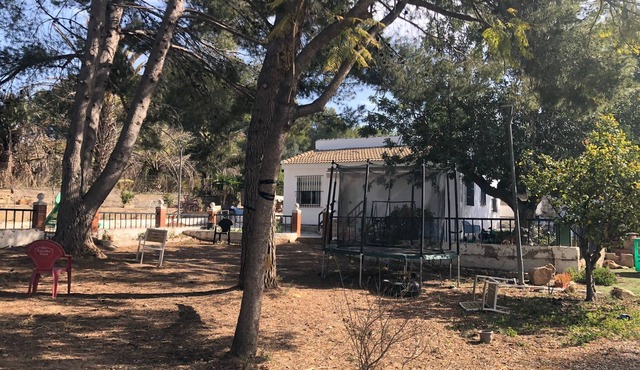 Chalet Entre Pinos